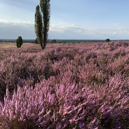 Heideschmiede Bed & Breakfast Undeloh