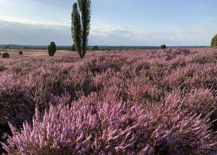 Heideschmiede Отель типа 
